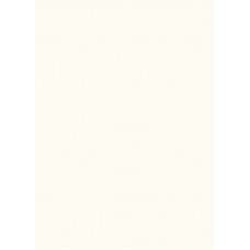 БЕЛЫЙ ФАСАДНЫЙ 0101 РЕ (ШАГРЕНЬ) 2800х2070х16мм Ultradecor